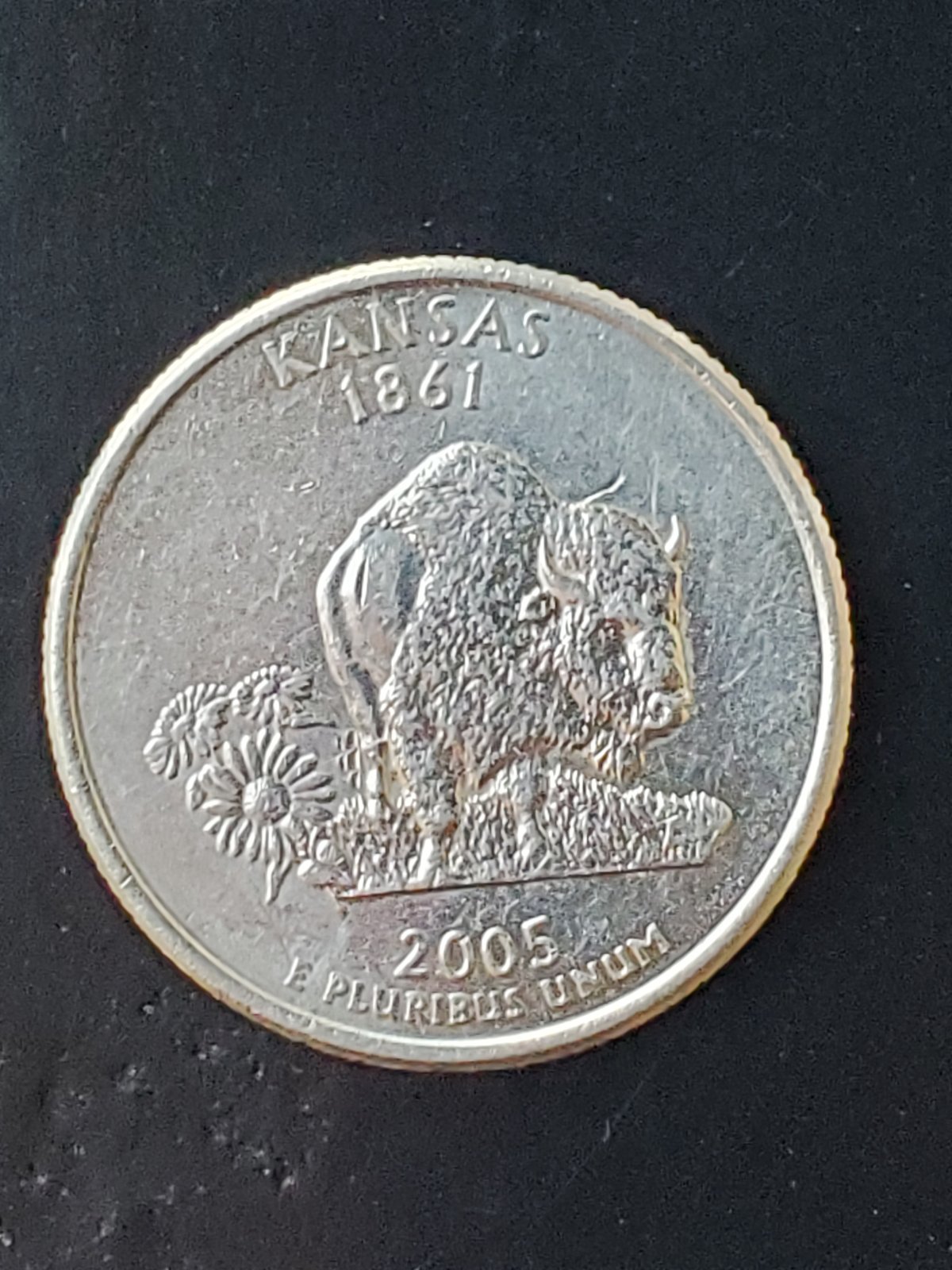 2005-Kansas-Quarter-What-Is-This-On-The-Coin